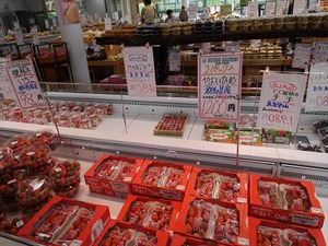DSC08564_R
