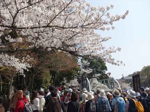 DSC09320_R
