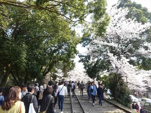 DSC09323_R