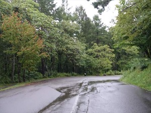 DSC08767_R