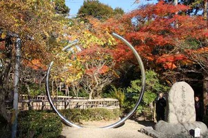 IMG_8939