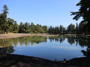 IMG_0954_R
