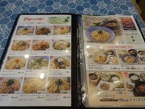 DSC00100_R
