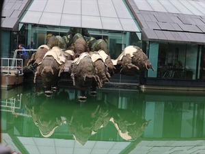 IMG_8777_R