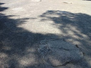 IMG_0943_R