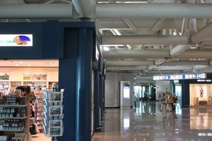 IMG_8413
