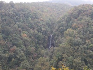 IMG_1020_R