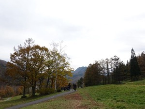 DSC00288_R