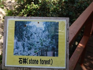 DSC05489_R