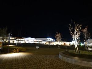 DSC01059_R