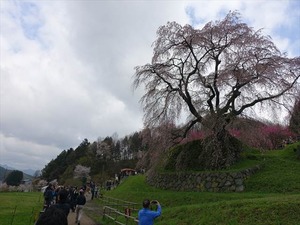 DSC09000_R