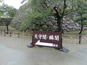 DSC08537_R