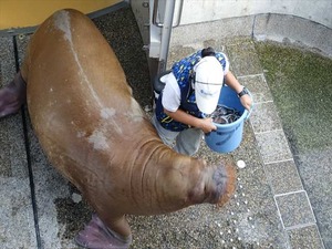 DSC05719_R