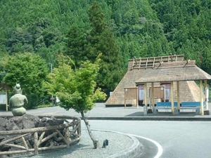 DSC06177_R