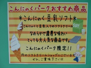 DSC08533_R