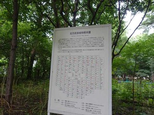 DSC09327_R