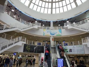 DSC02677_R