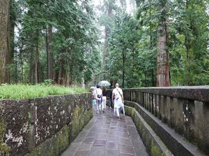 DSC08362_R