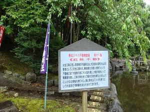DSC06797_R
