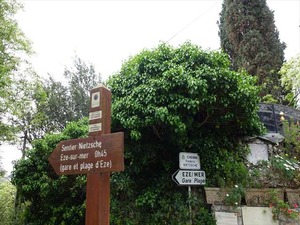 DSC09885_R
