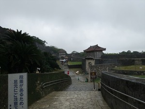 DSC08054_R