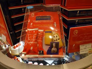 DSC02908_R