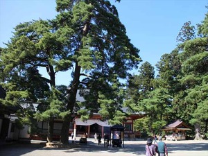 IMG_0933_R