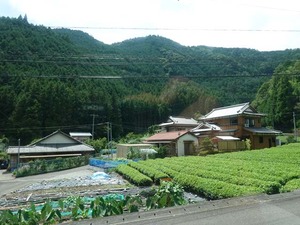 DSC06176_R