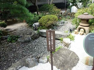 DSC07595_R