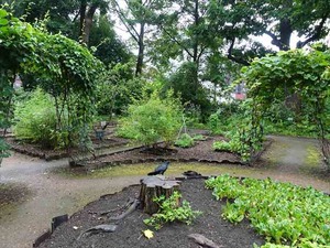 DSC09332_R