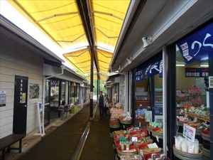 DSC08575_R