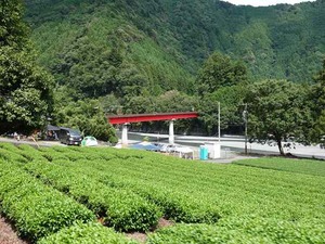 DSC06242_R
