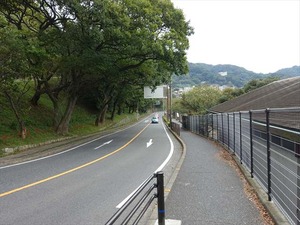 DSC06109_R