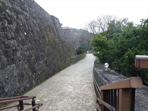 DSC08053_R