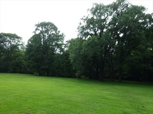 DSC09308_R