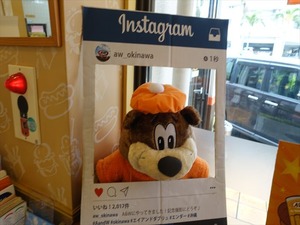 DSC08106_R