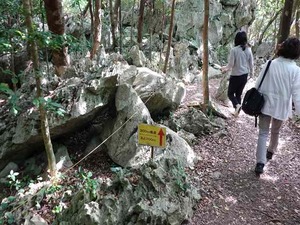 DSC05469_R