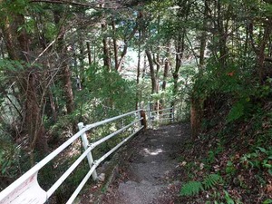 DSC06440_R