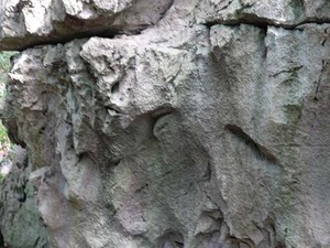 DSC05475_R