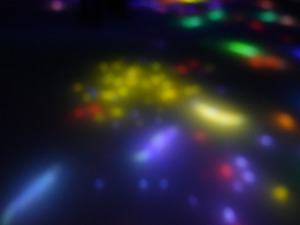 DSC07494_R