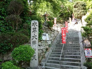 DSC03155_R