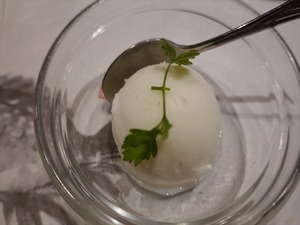 DSC03604_R