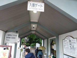 DSC09261_R