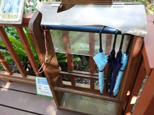 DSC05495_R