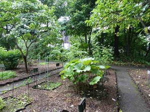 DSC09329_R