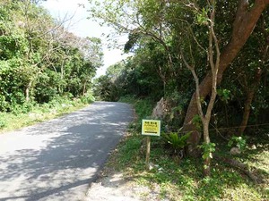 DSC05448_R