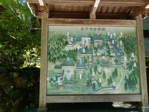 DSC05175_R