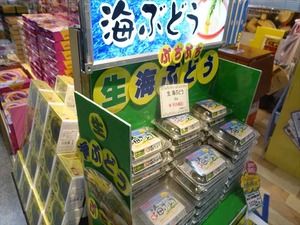 DSC08084_R