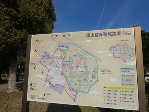 DSC08552_R