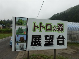 DSC08651_R